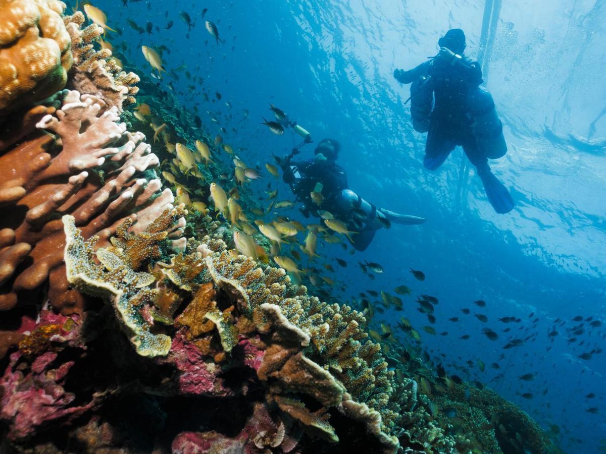 Cebu Seaview Dive Resort Moalboal Luaran gambar